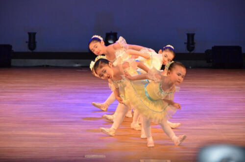 Ballet Recital