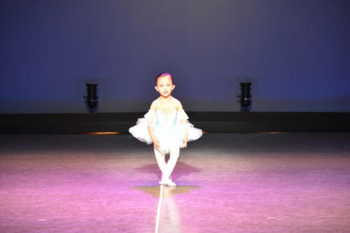 Ballet Recital